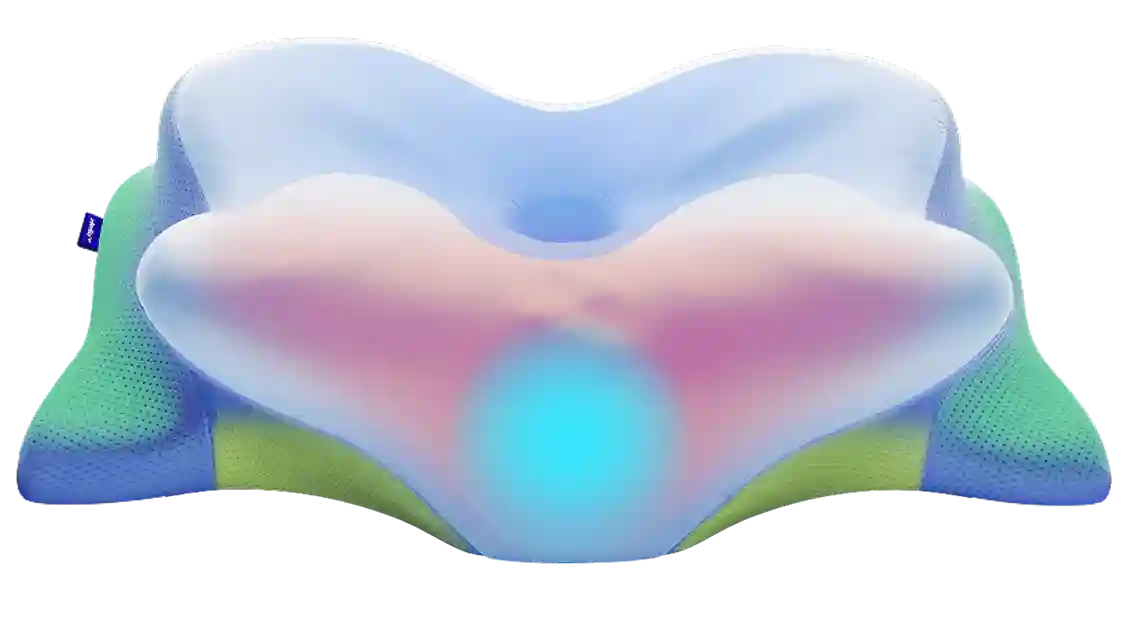 Order Derila Ergo Pillow USA